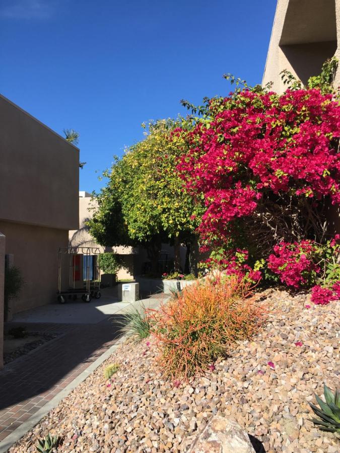 Getaways At Vista Mirage Resort Palm Springs Exteriör bild